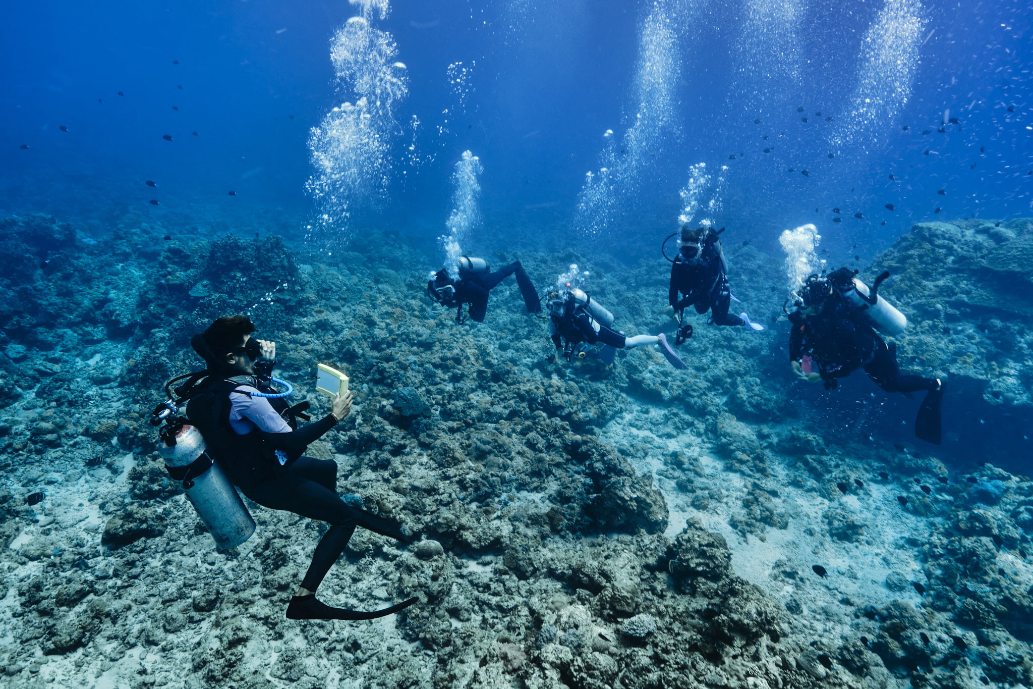 頂尖中性浮力探險潛水課程中能讓您複習之前學到的知識且更深化對浮力變化的理解。