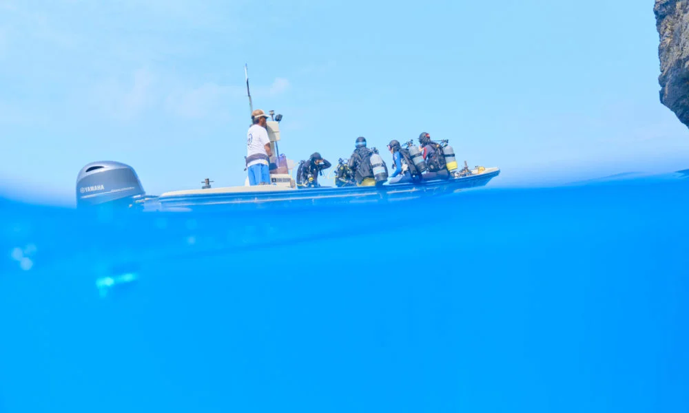 邊戶岬船隻 邊戶岬船隻