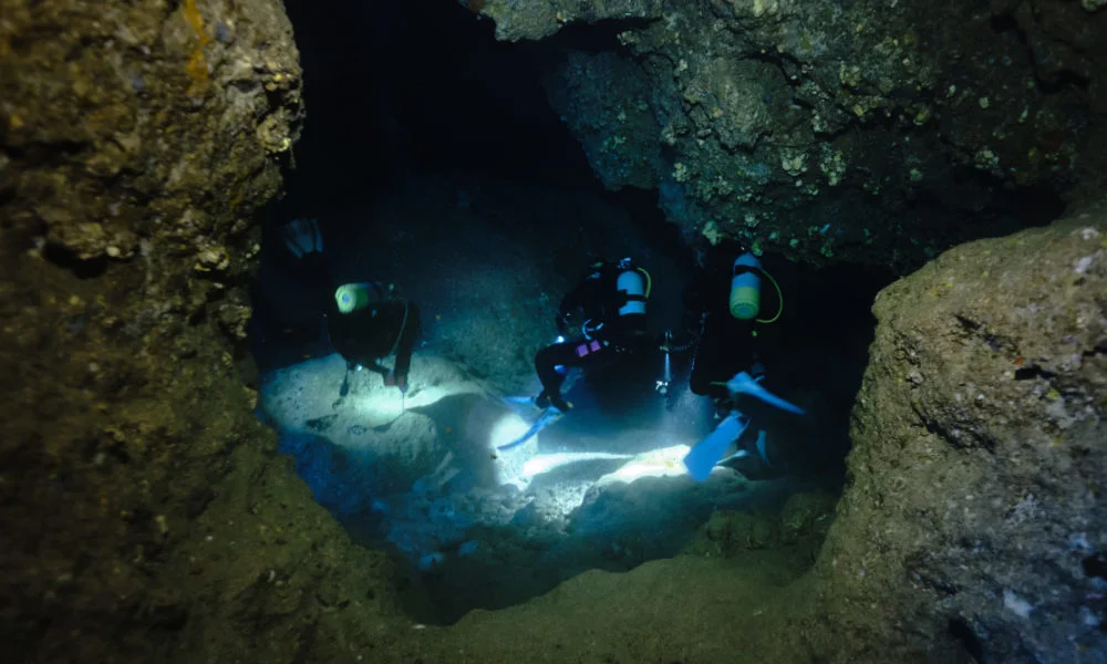 鐘乳石洞口 鐘乳石洞口